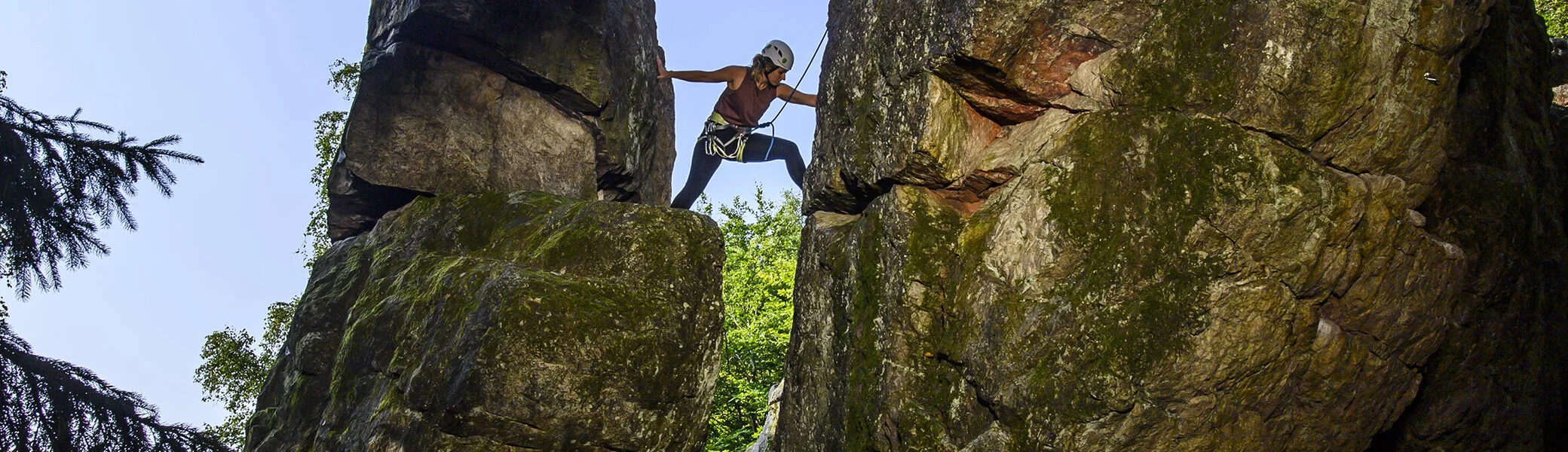 © Klaus-Peter Kappest