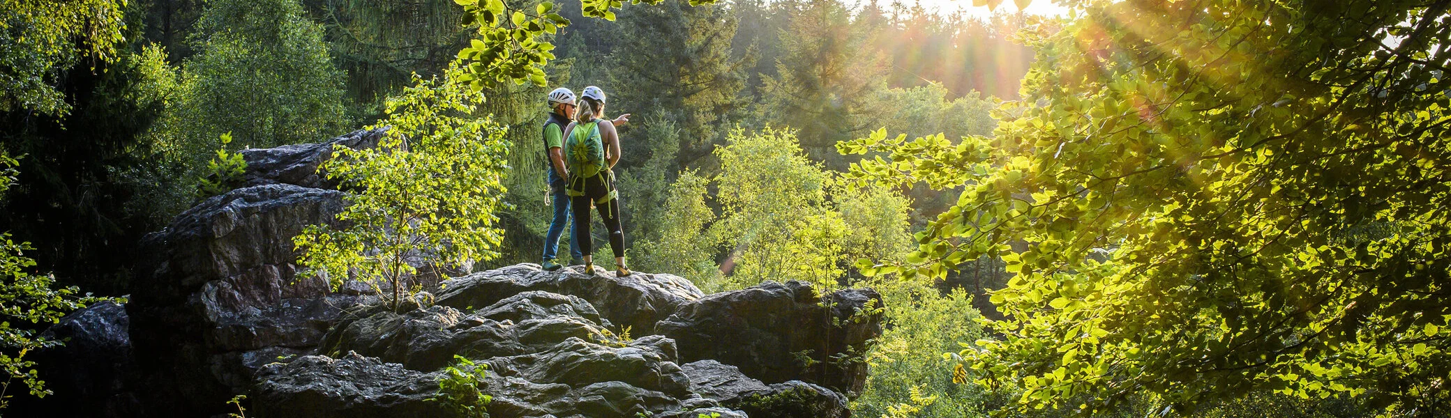 © Klaus-Peter Kappest