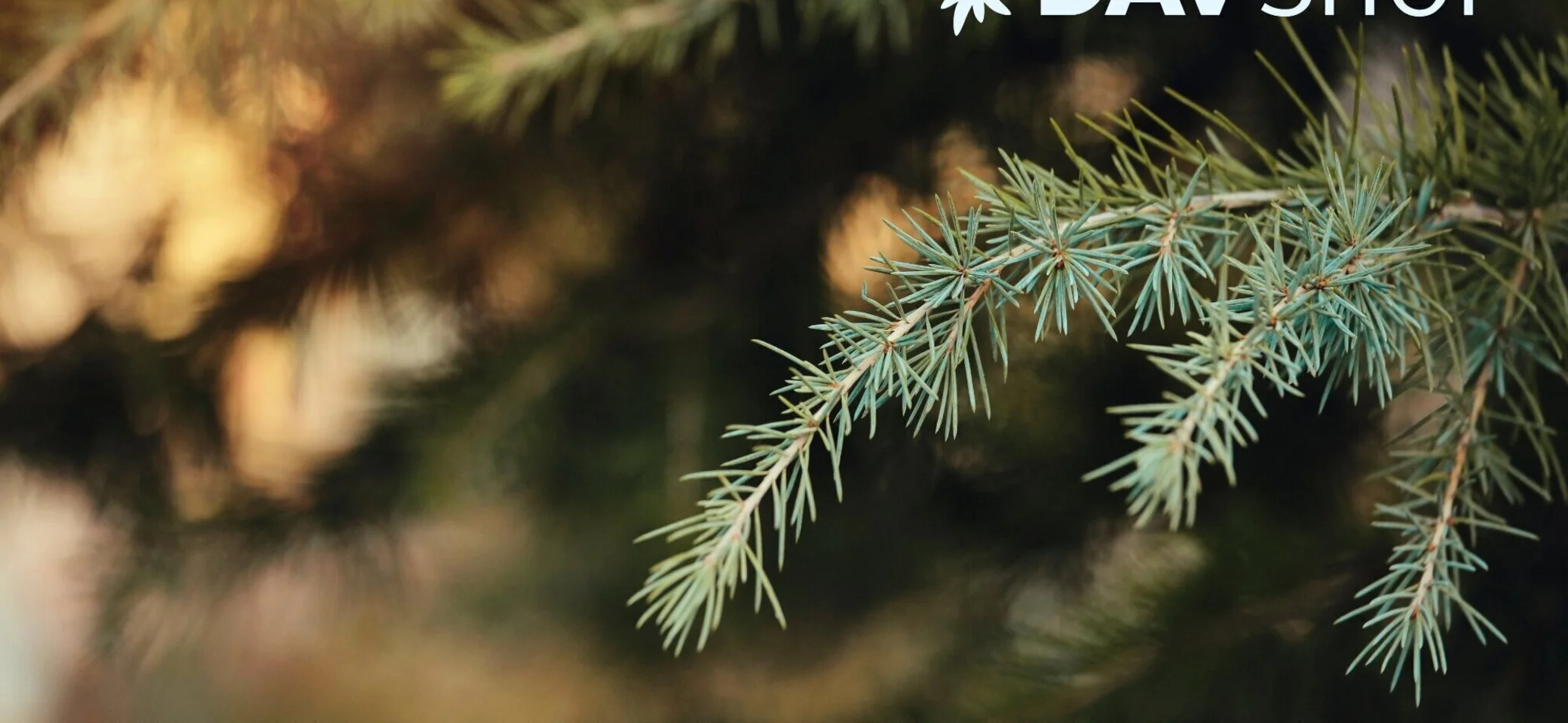 DAV-Shop: Unsere Empfehlungen für Weihnachten | © DAV Shop